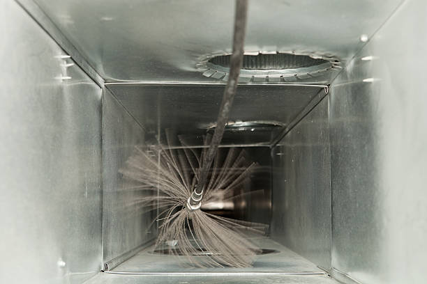 Air Duct Mold Removal in Moosic, PA