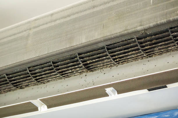 Home Air Vent Cleaning in Moosic, PA